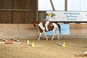 27-APHA OT_055